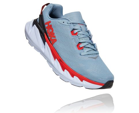 Elevon 2 Elevon 2