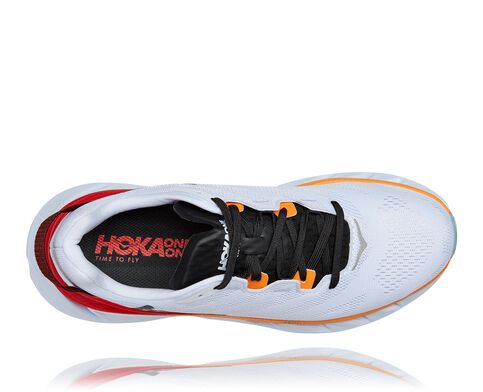 Elevon 2 Elevon 2