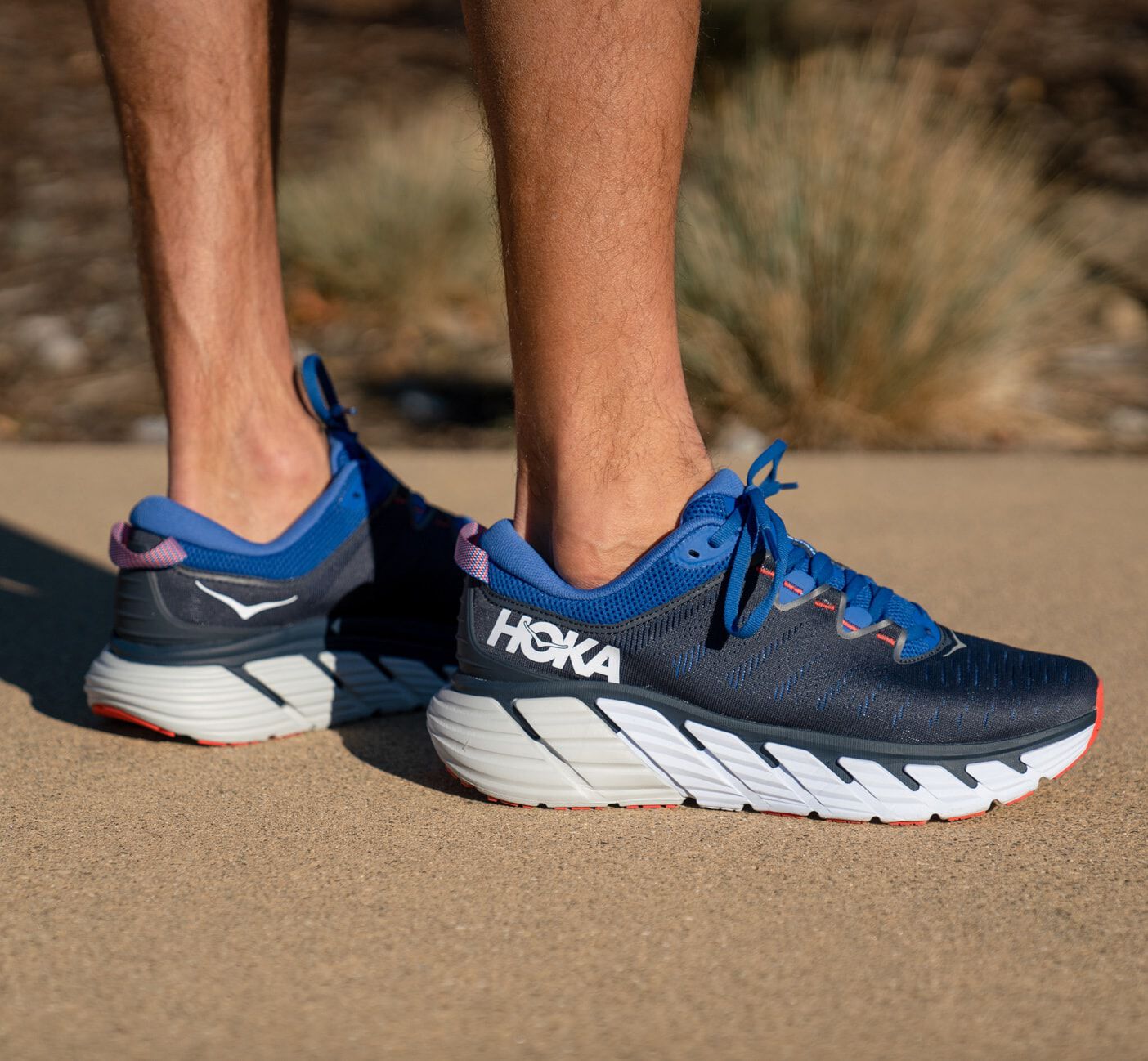 gaviota 3 release date