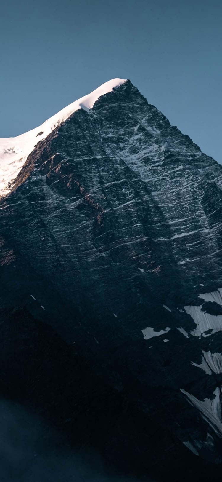 About the HOKA Brand | HOKA®